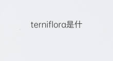 terniflora是什么意思 terniflora的中文翻译、读音、例句