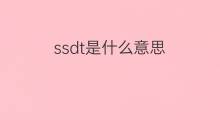 ssdt是什么意思 ssdt的中文翻译、读音、例句