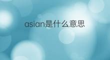 asian是什么意思 asian的中文翻译、读音、例句