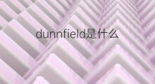 dunnfield是什么意思 dunnfield的中文翻译、读音、例句