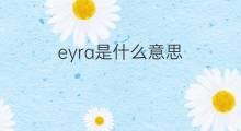 eyra是什么意思 eyra的中文翻译、读音、例句