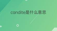 candite是什么意思 candite的中文翻译、读音、例句