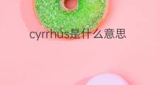 cyrrhus是什么意思 cyrrhus的中文翻译、读音、例句