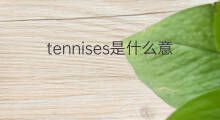 tennises是什么意思 tennises的中文翻译、读音、例句