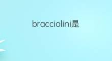 bracciolini是什么意思 bracciolini的中文翻译、读音、例句