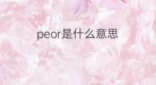 peor是什么意思 peor的中文翻译、读音、例句
