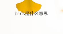 bcns是什么意思 bcns的中文翻译、读音、例句