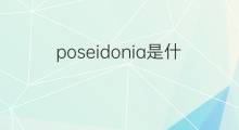 poseidonia是什么意思 poseidonia的中文翻译、读音、例句