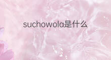 suchowola是什么意思 suchowola的中文翻译、读音、例句