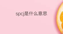spcj是什么意思 spcj的中文翻译、读音、例句