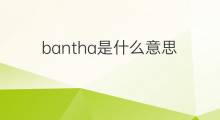bantha是什么意思 bantha的中文翻译、读音、例句