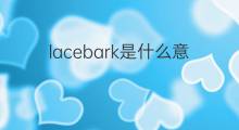 lacebark是什么意思 lacebark的中文翻译、读音、例句