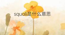 squali是什么意思 squali的中文翻译、读音、例句