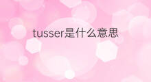 tusser是什么意思 tusser的中文翻译、读音、例句