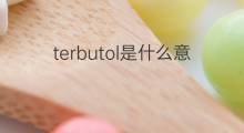 terbutol是什么意思 terbutol的中文翻译、读音、例句