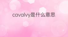cavalvy是什么意思 cavalvy的中文翻译、读音、例句
