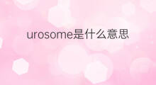 urosome是什么意思 urosome的中文翻译、读音、例句