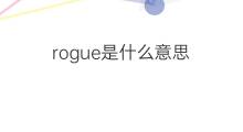 rogue是什么意思 rogue的中文翻译、读音、例句