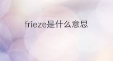 frieze是什么意思 frieze的中文翻译、读音、例句