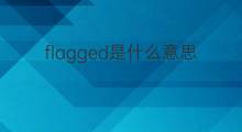 flagged是什么意思 flagged的中文翻译、读音、例句