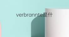 verbrannte是什么意思 verbrannte的中文翻译、读音、例句