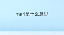 meri是什么意思 meri的中文翻译、读音、例句