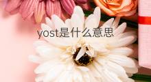 yost是什么意思 yost的中文翻译、读音、例句