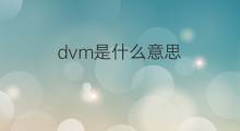 dvm是什么意思 dvm的中文翻译、读音、例句