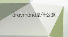 draymond是什么意思 draymond的中文翻译、读音、例句