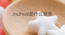 muhsal是什么意思 muhsal的中文翻译、读音、例句
