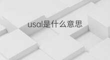 usal是什么意思 usal的中文翻译、读音、例句
