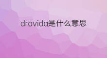 dravida是什么意思 dravida的中文翻译、读音、例句