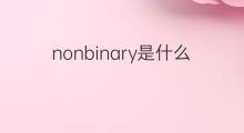 nonbinary是什么意思 nonbinary的中文翻译、读音、例句