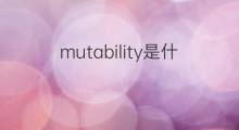 mutability是什么意思 mutability的中文翻译、读音、例句