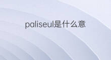 paliseul是什么意思 paliseul的中文翻译、读音、例句