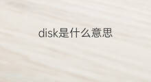 disk是什么意思 disk的中文翻译、读音、例句