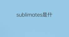 sublimates是什么意思 sublimates的中文翻译、读音、例句