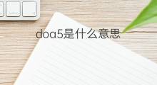doa5是什么意思 doa5的中文翻译、读音、例句