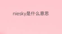 niesky是什么意思 niesky的中文翻译、读音、例句
