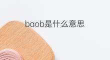 baob是什么意思 baob的中文翻译、读音、例句