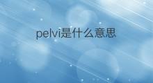 pelvi是什么意思 pelvi的中文翻译、读音、例句