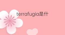terrafugia是什么意思 terrafugia的中文翻译、读音、例句