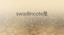 swadlincote是什么意思 swadlincote的中文翻译、读音、例句