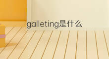 galleting是什么意思 galleting的中文翻译、读音、例句