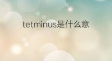 tetminus是什么意思 tetminus的中文翻译、读音、例句