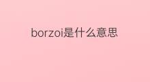 borzoi是什么意思 borzoi的中文翻译、读音、例句