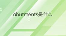 abutments是什么意思 abutments的中文翻译、读音、例句