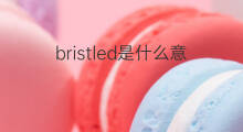 bristled是什么意思 bristled的中文翻译、读音、例句