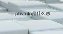 ephyrula是什么意思 ephyrula的中文翻译、读音、例句