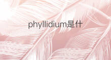 phyllidium是什么意思 phyllidium的中文翻译、读音、例句